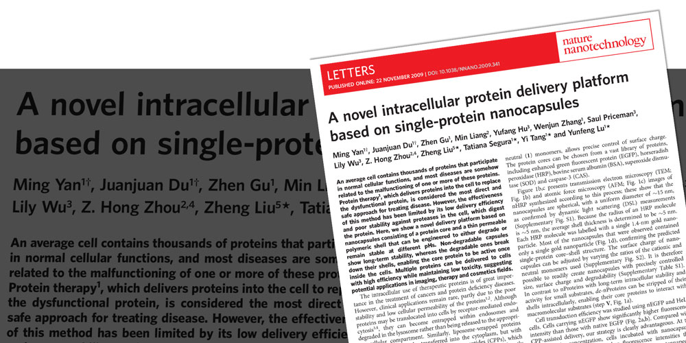 A Novel Intracellular Protein Delivery Platform Based on Single-Protein Nanocapsules