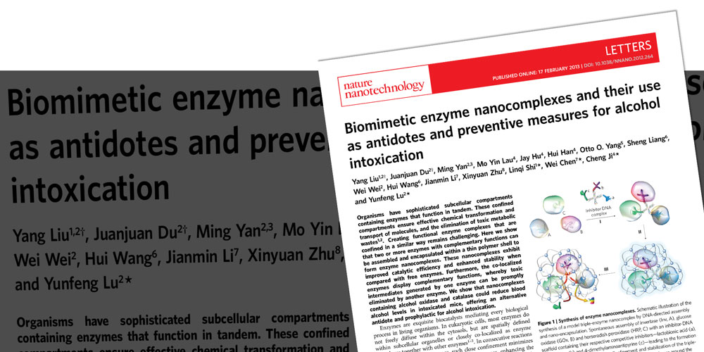 Biomimetic Enzyme Nanocomplexes and Their Use as Antidotes and Preventive Measures for Alcohol Intoxication