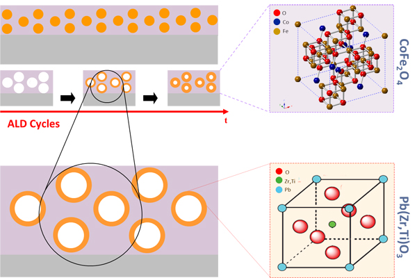 FERROELECTRIC & WIDE BAND GAP MATERIALS