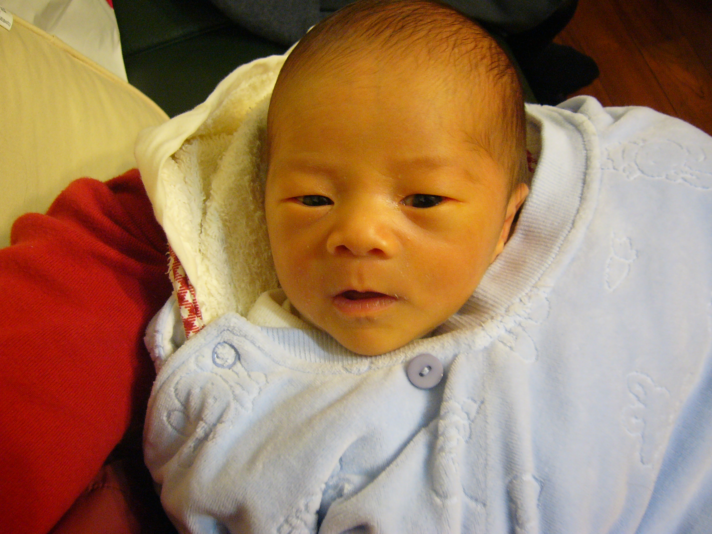 Chih Chen's 2nd baby 