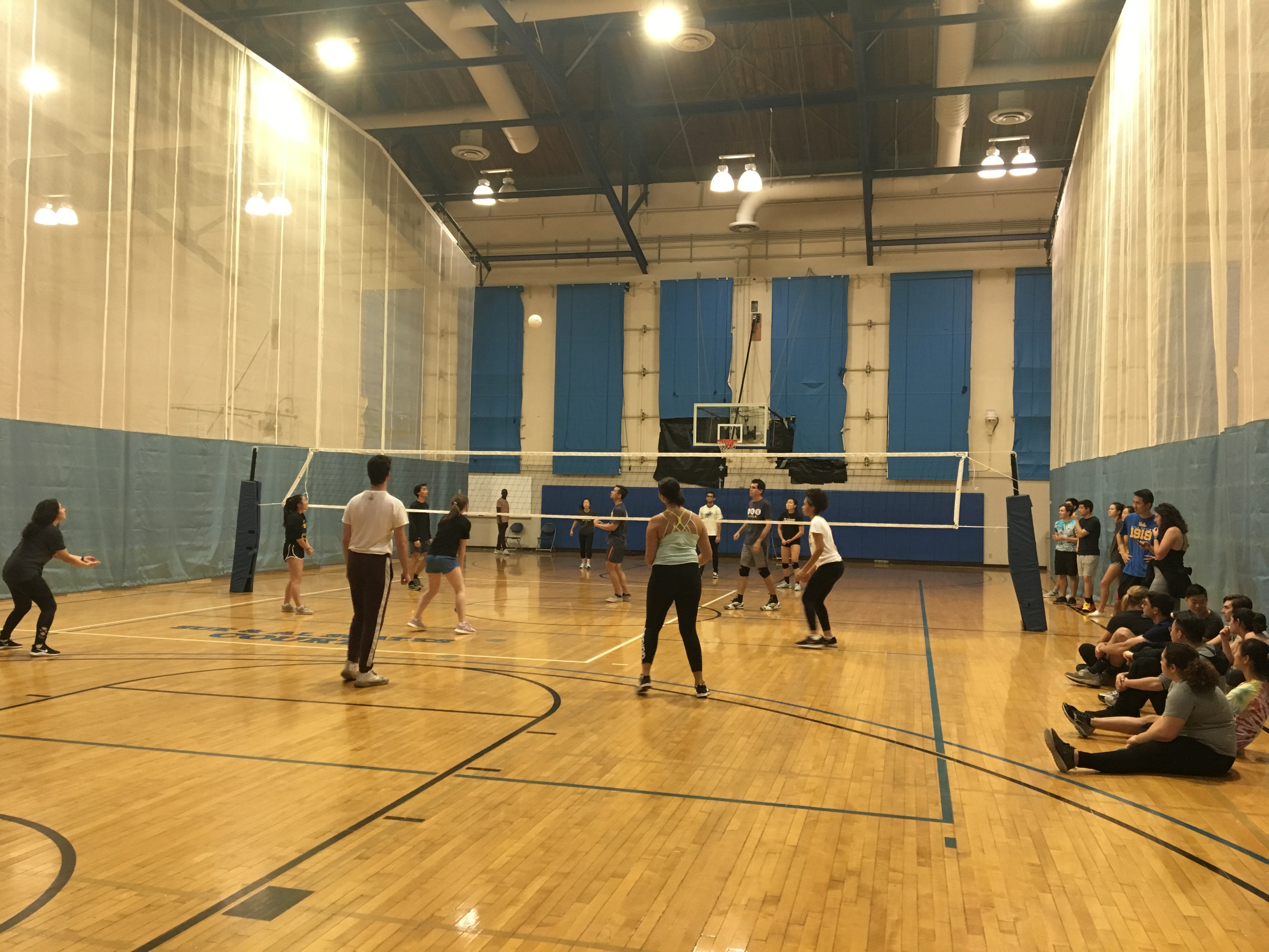 Volleyball Social