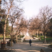 Bruin Walk