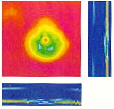 B- and C-Scans of the Damaged Area