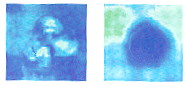 C-scan from both impacted side and the back side, signal is gated differently