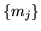 $ \{m_j\}$