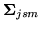 $ {\mbox{\boldmath $\Sigma$}}_{jsm}$
