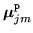 $ {{\mbox{\boldmath $\mu$}}}^{\tt p}_{jm}$