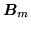 $ {\mbox{\boldmath $B$}}_m$