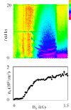 Spectrum.gif (21355 bytes)