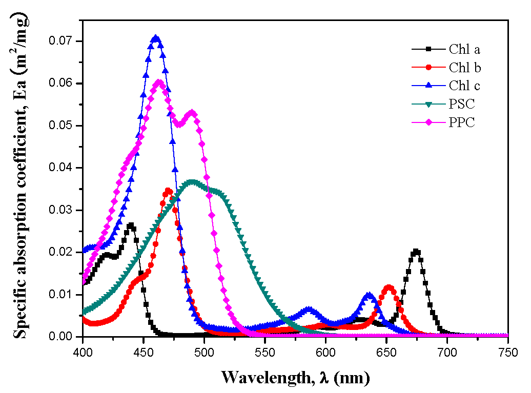 Photobiological food and fuel production and carbon dioxide fixation