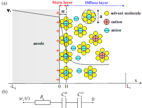 Physical interpretation of Cyclic Voltammetry from EDLCs